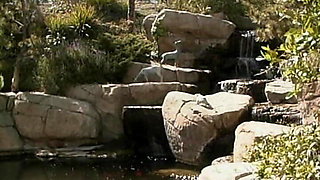 Platinum Blonde Sluts Sharing Strapon Toy by the Pool