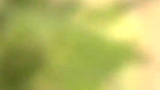 Cock Hungry Nympho Sucking Multiple Dicks