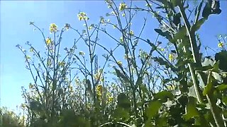 Christi's Risky Public Outdoor Fuck – Voyeur Cums On Her