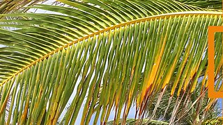 Gorgeous Alex Grey amazing adult clip