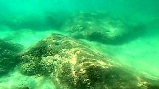 Risky Public Beach Sex Amateur Couple's Underwater Adventur