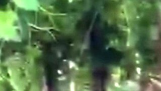 Spying blonde hooker fucking in the woods