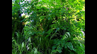 The Outsex Hunters!!! - (vol. #01)