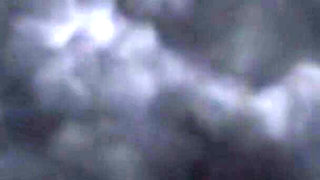 Husband Gone, King Cobra's in