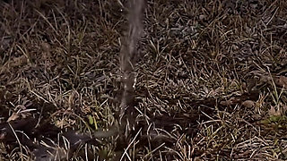 Compilation of Public Pissing in Nature! Showing Pads! POV!