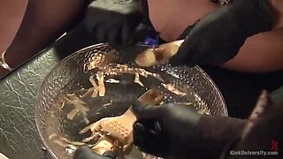 Dee Williams Figging Fetish: Hot Blonde Anal with Ginger Toy & Squirting Orgasm