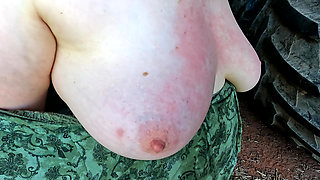 Red tits in the shed