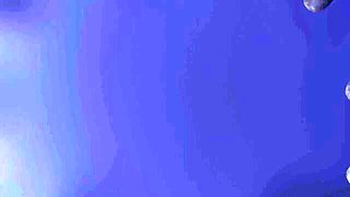 Amirah's BDSM trailer