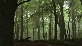 Outdoor Strapon Fuck with Swiss Horny Girl