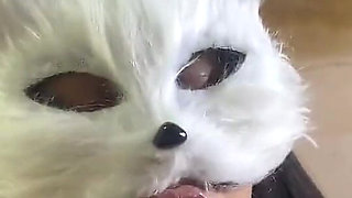 Today I'm a Naughty Kitten Who Wants Milk