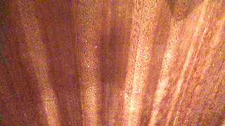 Stepmom Pisses From Her Hairy Pussy and Lets Me Cum on Her Saggy Tits