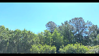 Tatiana Steele Strap on Fucks Lora Cross by the Pool