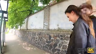 Hunt4k. lassie has brilliant