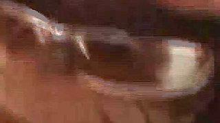 She's Lying in Bed and He Just Wants a Blow Job.