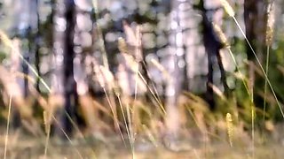 FrolicMe - Nikky Dream - The Grove