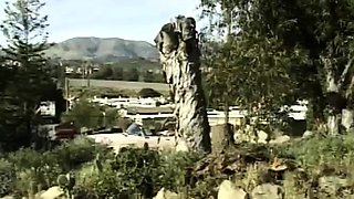 Lapdance and blowjob made by BIG boobs blonde