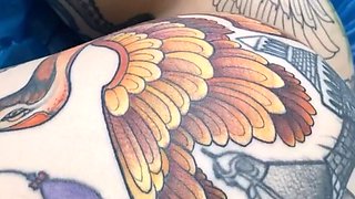 Stripping Amateur In Sexy Panties