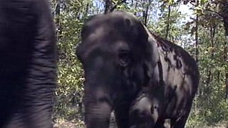 Amateur blondes pov blowjob and hardcore fun with lucky dude