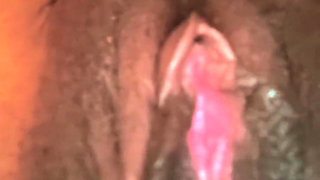 All My Pussy
