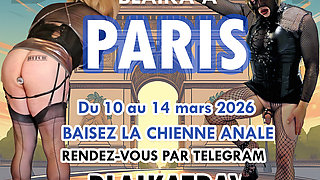 La chienne anale à Paris du 9 au 14