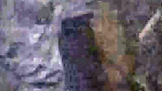 Young blonde fingers and toys her pussy on web cam