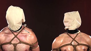 Rew Lobo and Phoenix Leo bound and pleasured