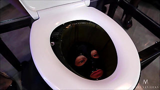 Toilet Must Swallow
