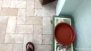 Mina Moon - Asian Exchange