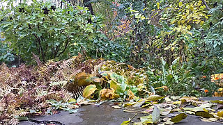 Hot mature woman in leggings pees standing doggystyle