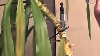 You Want My Husband,your Stepbrother... Go Ahead