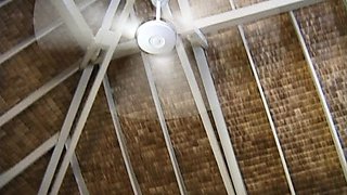 Brunette slut pov blowjob in close up HD
