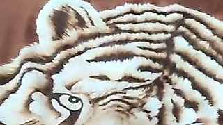 Oral Sex and Hairy Pussy Fucking in the Bedroom