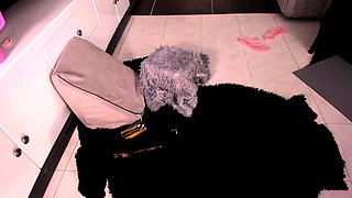 Blonde tight pussy babe solo toy fun in glamour masturbation