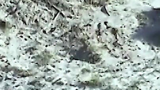 Young Lezzies Love Oil Massage on The Beach