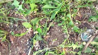 A unshaved muff pisses outdoors in public places. Lots of urine from a bodacious COUGAR with a phat bum. Amateur fetish.