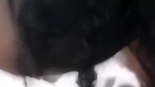 Beautiful Night with Couple