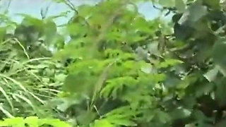 Paradise Tease-a Sunlit Muse Mixing Drinks, Drops, and Your Perfect Finish Chapter-3