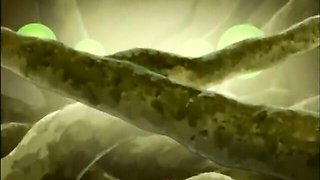 Watch smiling goddess's trailer