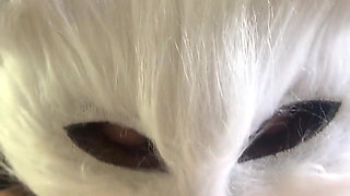 Today I'm a Naughty Kitten Who Wants Milk