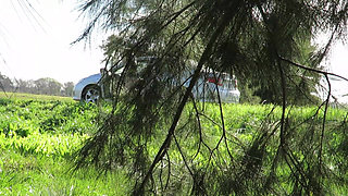 Patricia and Her Ass Walks Among the Pines