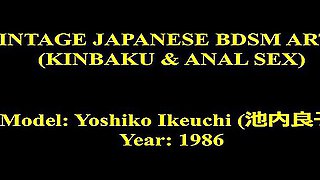 Vintage Japanese Bdsm Art 01 (kinbaku &amp; Anal Sex)