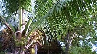 Blonde Chikita shows off her big boobs and bush