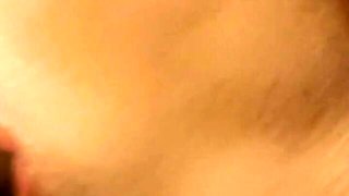 Rough doxie's vintage clip