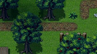 The Biggest Tits in Town