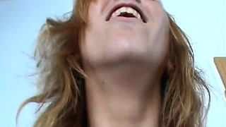 Two Cats, a Redhead and a Brunette, Displayed in Close-up